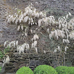 Photo n° 3 de l'avis de BUI.i fait le 09/05/2023 à 10:16 pour Jardins de la Ballue à Bazouges-la-Pérouse