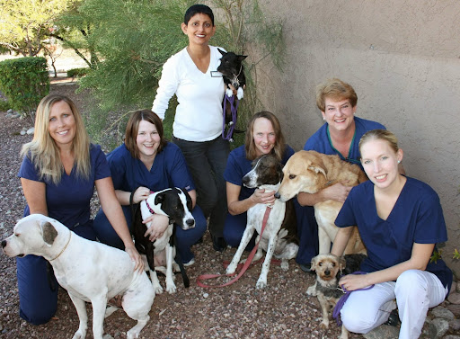 Sugarloaf Animal Clinic