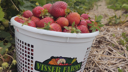 Strawberry Patch Visser Farms