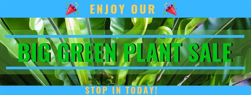 Florist «1-800-Flowers | Flowerama Cedar Rapids #429», reviews and photos, 3135 1st Ave SE, Cedar Rapids, IA 52402, USA