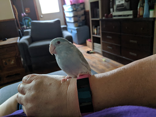 Pet Supply Store «Pet Supplies Plus», reviews and photos, 5708 State St, Saginaw, MI 48603, USA