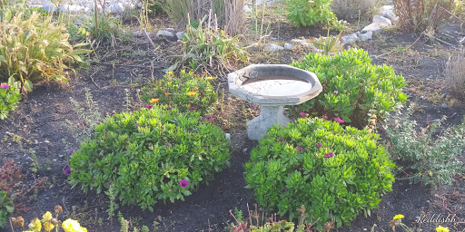 Tourist Attraction «Scituate Lighthouse», reviews and photos, 99 Lighthouse Rd, Scituate, MA 02066, USA