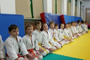 Panda Judo Club image