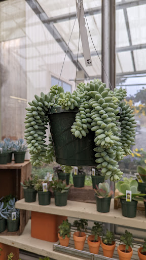 Florist «The Garden», reviews and photos, 155 Main St N, Woodbury, CT 06798, USA