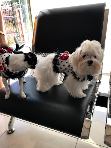 ΑΡΕΤΗ ΜΑΚΡΗ ΚΤΗΝΙΑΤΡΕΙΟ ΛΑΡΙΣΑ - Κτηνίατρος