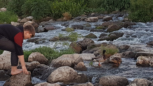 National Park «San Antonio Missions National Historical Park», reviews and photos, 6701 San Jose Dr, San Antonio, TX 78214, USA