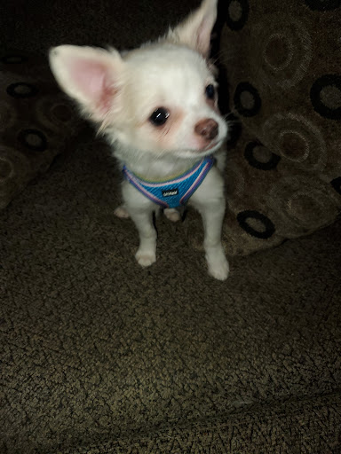 Pet Store «The Pet Zone», reviews and photos, 2001 South Rd, Poughkeepsie, NY 12601, USA