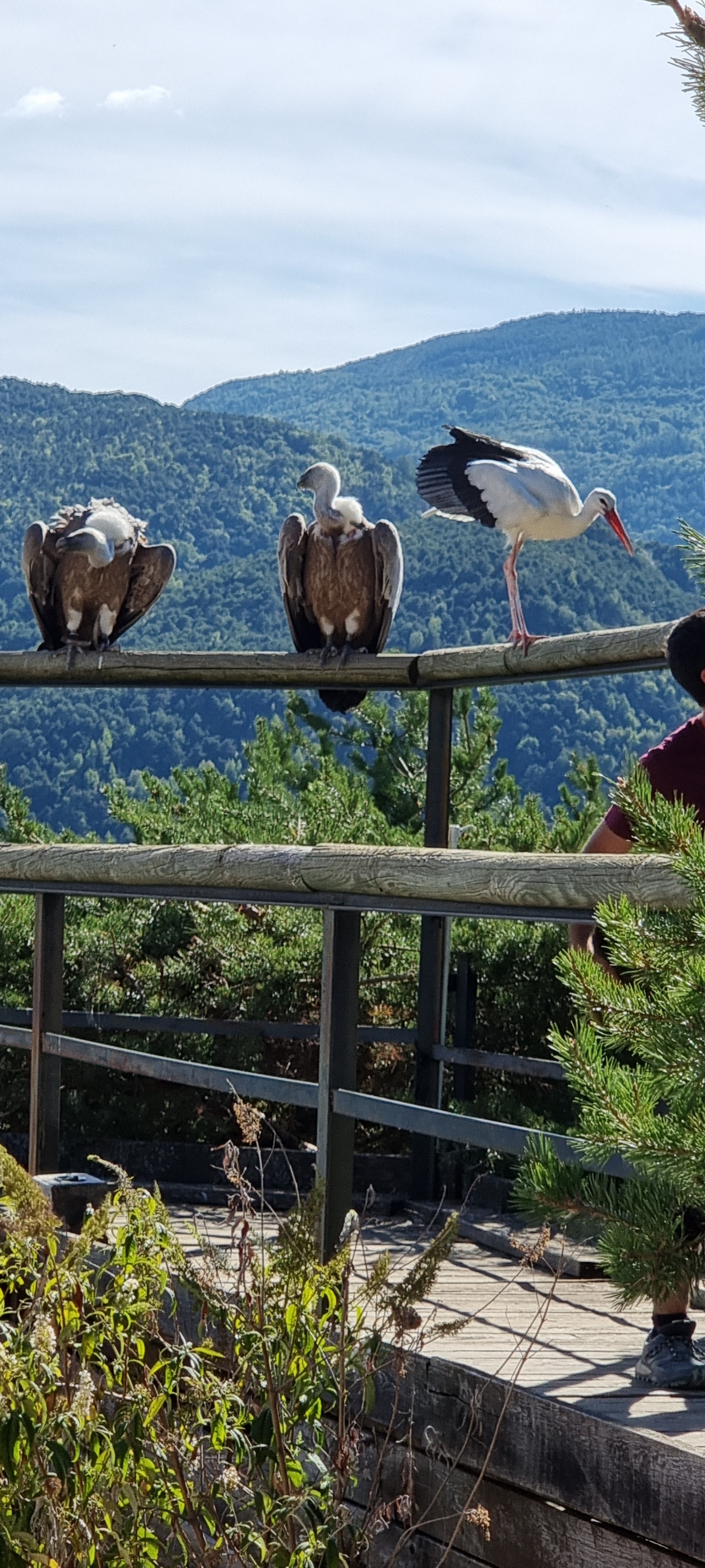 Photo n° 8 de l'avis de Didier.E fait le 03/09/2022 à 06:54