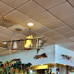 Photo n°2 de l'avis de Cosima.a fait le 20/02/2023 à 10:31 sur le  Porca Polenta à Reggio Emilia