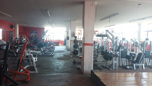 Iron Boxing Gym