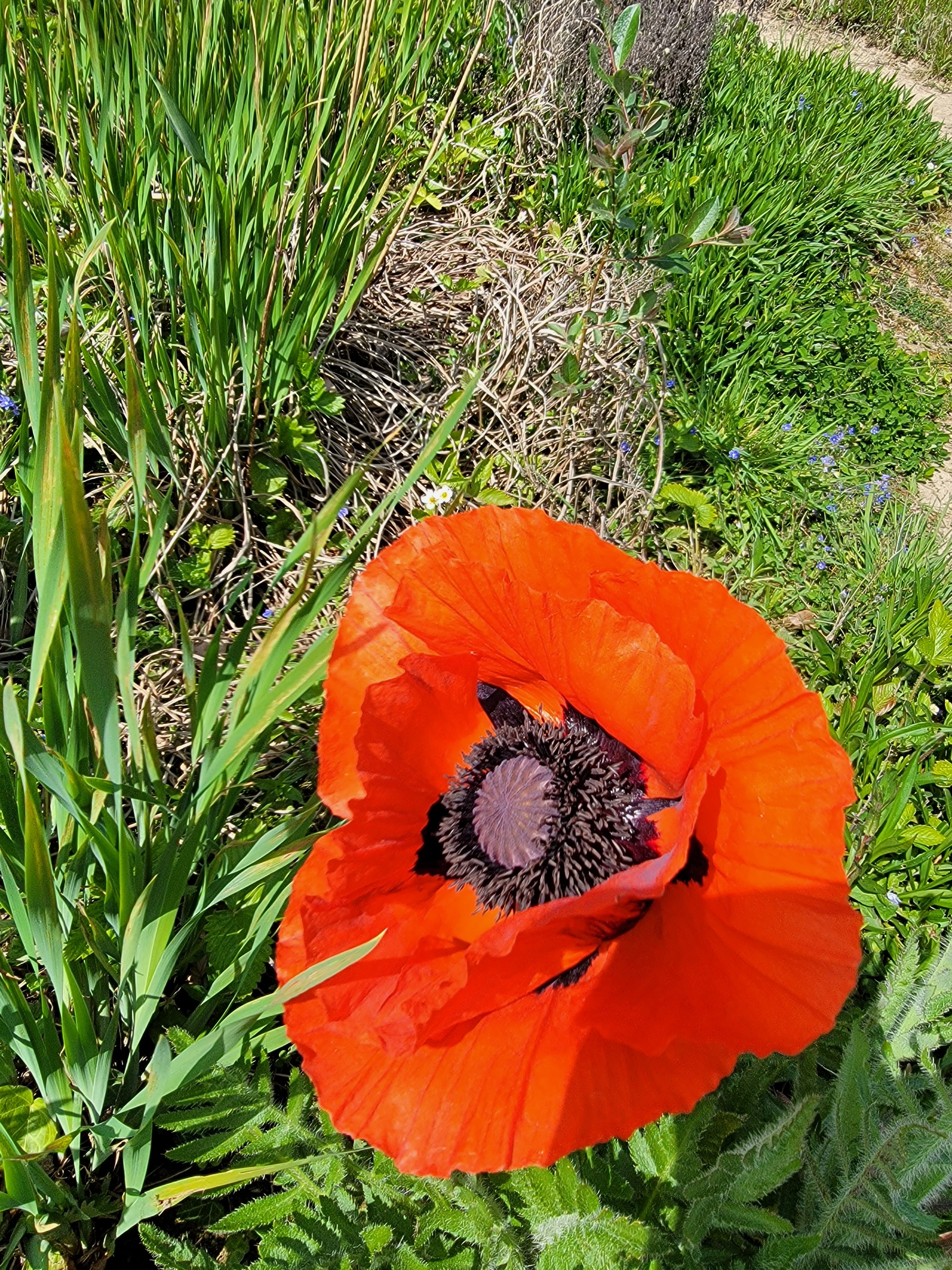 Photo n° 13 de l'avis de Ludovic.o fait le 02/05/2022 à 06:25