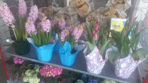 Pet Supply Store «Agway of Manchester», reviews and photos, 33 Adams St, Manchester, CT 06042, USA