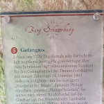 Photo n°14 de l'avis de Bird.0 fait le 10/05/2021 à 17:49 sur le  Schaumburg Castle, Lower Saxony à Rinteln