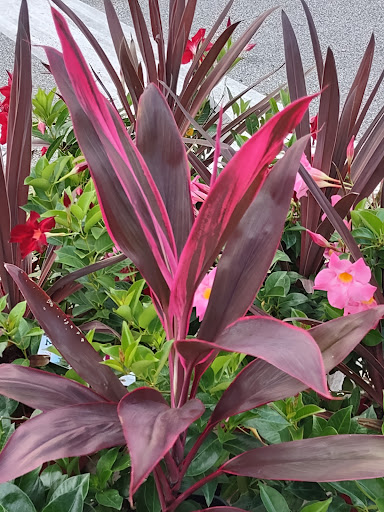 Home Improvement Store «The Home Depot», reviews and photos, 1155 High St, Wadsworth, OH 44281, USA