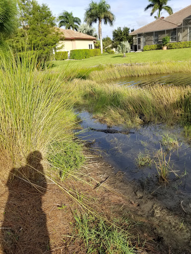 Golf Club «Stoneybrook Golf Club», reviews and photos, 21251 Stoneybrook Golf Blvd, Estero, FL 33928, USA