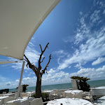 Photo n°3 de l'avis de Domenico.� fait le 24/05/2023 à 11:28 sur le  Shilling à Rome