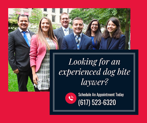 Immigration Attorney «FitzGerald Law Company», reviews and photos