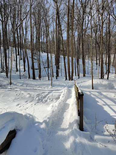 Tourist Attraction «Brandywine Gorge Trail», reviews and photos, 8176 Brandywine Rd, Sagamore Hills, OH 44067, USA