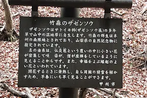 Tamamiya Zazenso Park image
