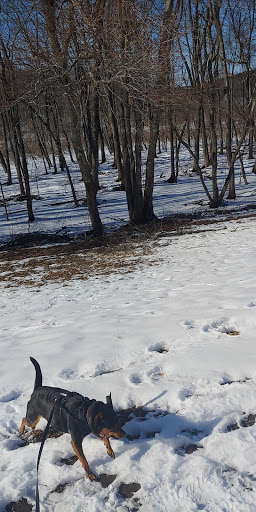 Park «Carney Park», reviews and photos, 386 W Main St, Northborough, MA 01532, USA