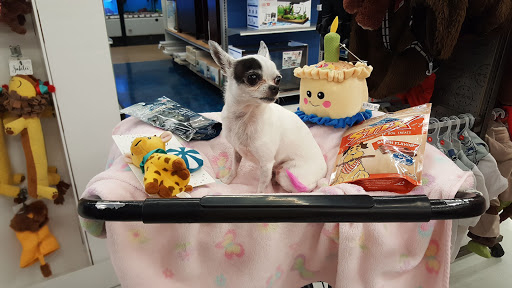 Pet Supply Store «Petco Animal Supplies», reviews and photos, 5151 Gosford Rd, Bakersfield, CA 93313, USA
