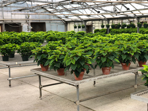 Garden Center «H J Benken Florist & Garden», reviews and photos, 6000 Plainfield Rd, Cincinnati, OH 45213, USA