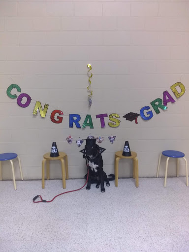 Pet Supply Store «PetSmart», reviews and photos, 849 E 23rd St, Panama City, FL 32405, USA