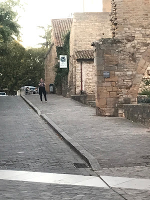 Fédération Européenne des Sites Clunisiens à Cluny