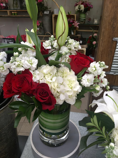 Grocery Store «Jewel-Osco», reviews and photos, 333 E Euclid Ave, Mt Prospect, IL 60056, USA