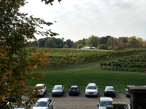 Winery «Dablon Vineyards & Winery», reviews and photos, 111 W Shawnee Rd, Baroda, MI 49101, USA