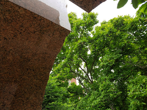 Museum «Smithsonian Castle», reviews and photos, 1000 Jefferson Dr SW, Washington, DC 20560, USA