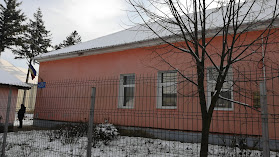 Puiu Sever Primary School and Kindergarten