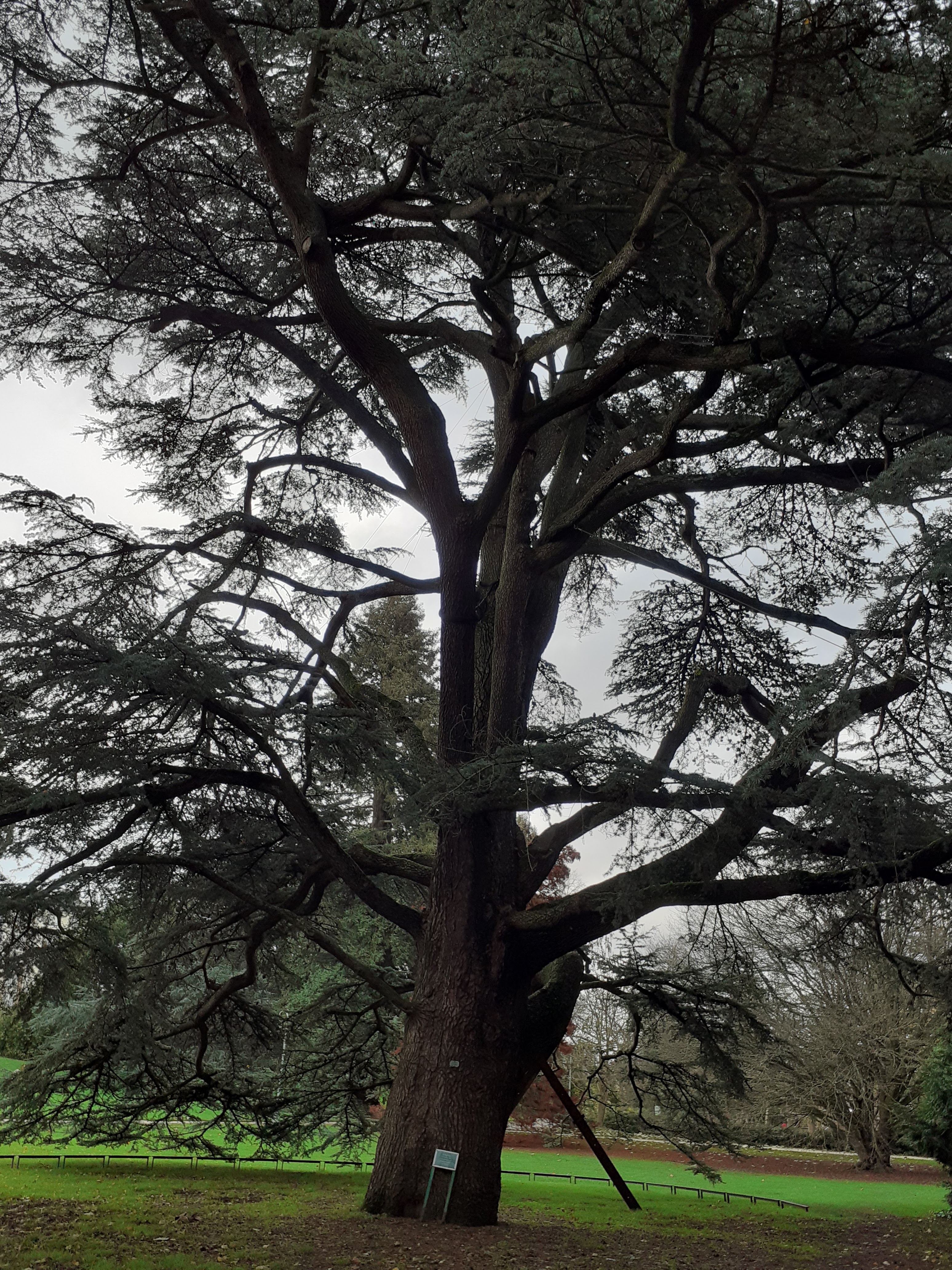Photo n° 7 de l'avis de Doume. fait le 13/12/2019 à 18:34