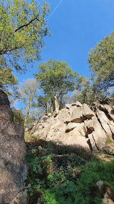 Photos des visiteurs Chambre d'hôtes Chambre d'hôtes Le Buchelier 85290 Mortagne-sur-Sèvre