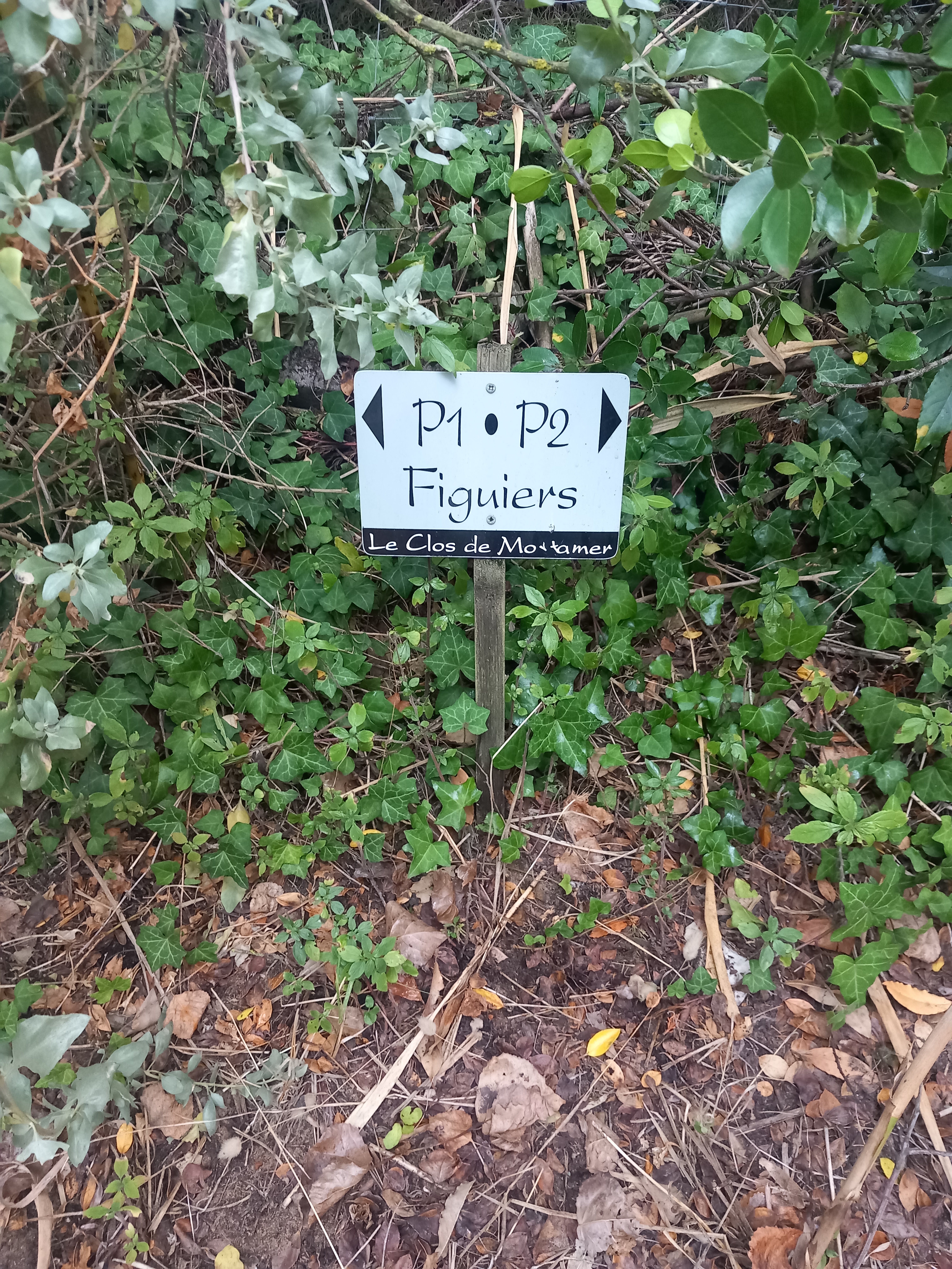 Photo n° 2 de l'avis de Ghostxii.h fait le 16/08/2023 à 12:05