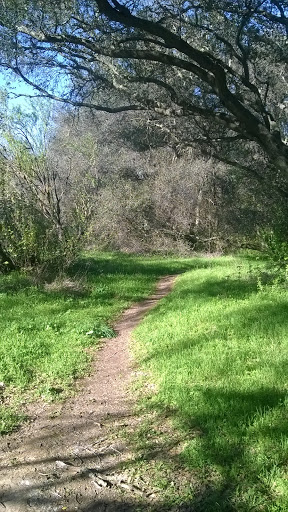 Nature Preserve «Stock Ranch Open Space», reviews and photos, 6462 Cedar Ranch Drive, Citrus Heights, CA 95621, USA