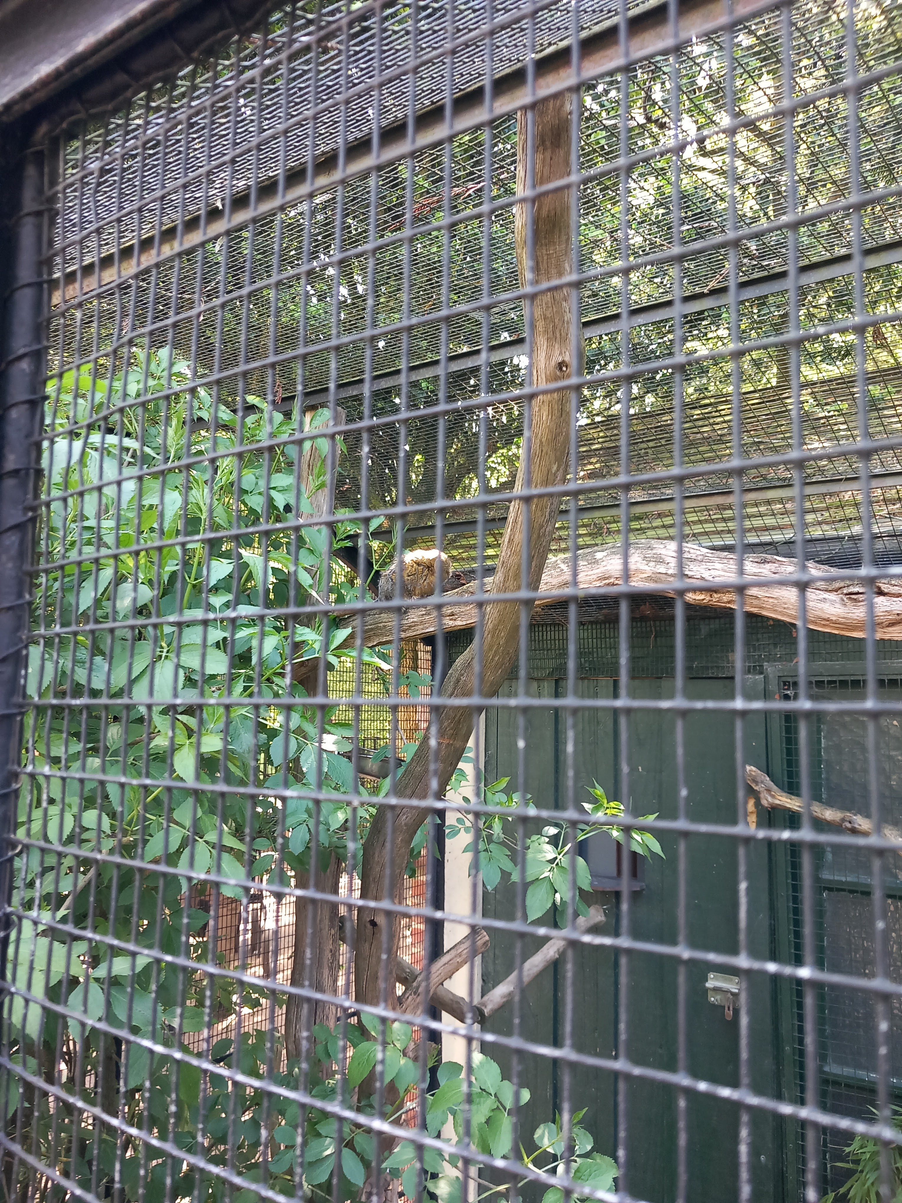 Photo n° 6 de l'avis de Karl.h fait le 01/05/2023 à 06:31