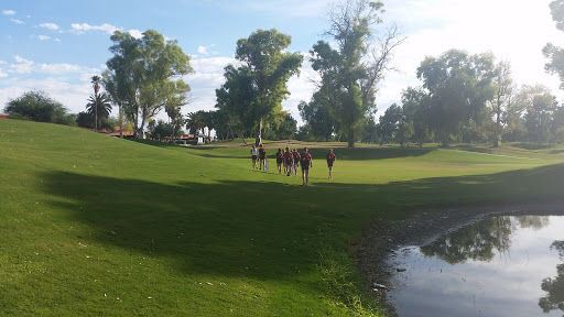 Golf Club «Randolph Golf Course», reviews and photos, 600 S Alvernon Way, Tucson, AZ 85711, USA