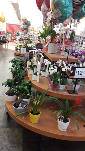 Supermarket «Super Stop & Shop», reviews and photos, 40 Furlong Dr, Revere, MA 02151, USA