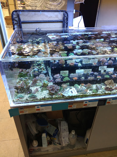 Pet Supply Store «Petco Animal Supplies», reviews and photos, 1 US-46, Totowa, NJ 07512, USA