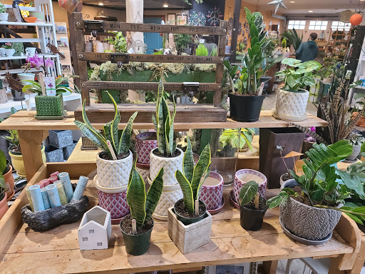 Garden Center «Victoria Gardens», reviews and photos, 1 Cottekill Rd, Rosendale, NY 12472, USA