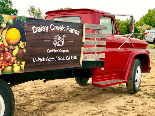 Daisy Creek Farms