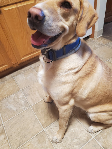 Pet Supply Store «Petco Animal Supplies», reviews and photos, 210 Fortune Blvd, Milford, MA 01757, USA