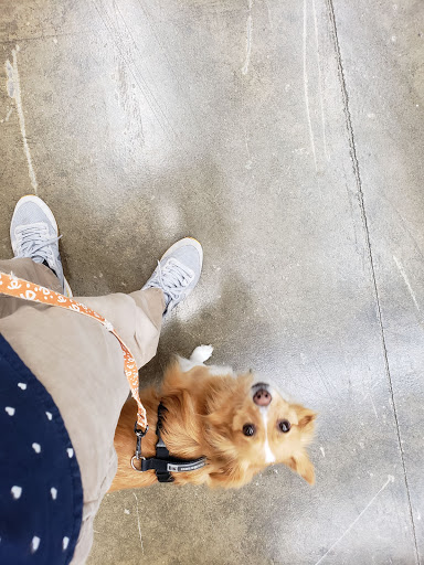 Pet Supply Store «Pet Club Fairfield», reviews and photos, 5125 Business Center Dr, Fairfield, CA 94534, USA