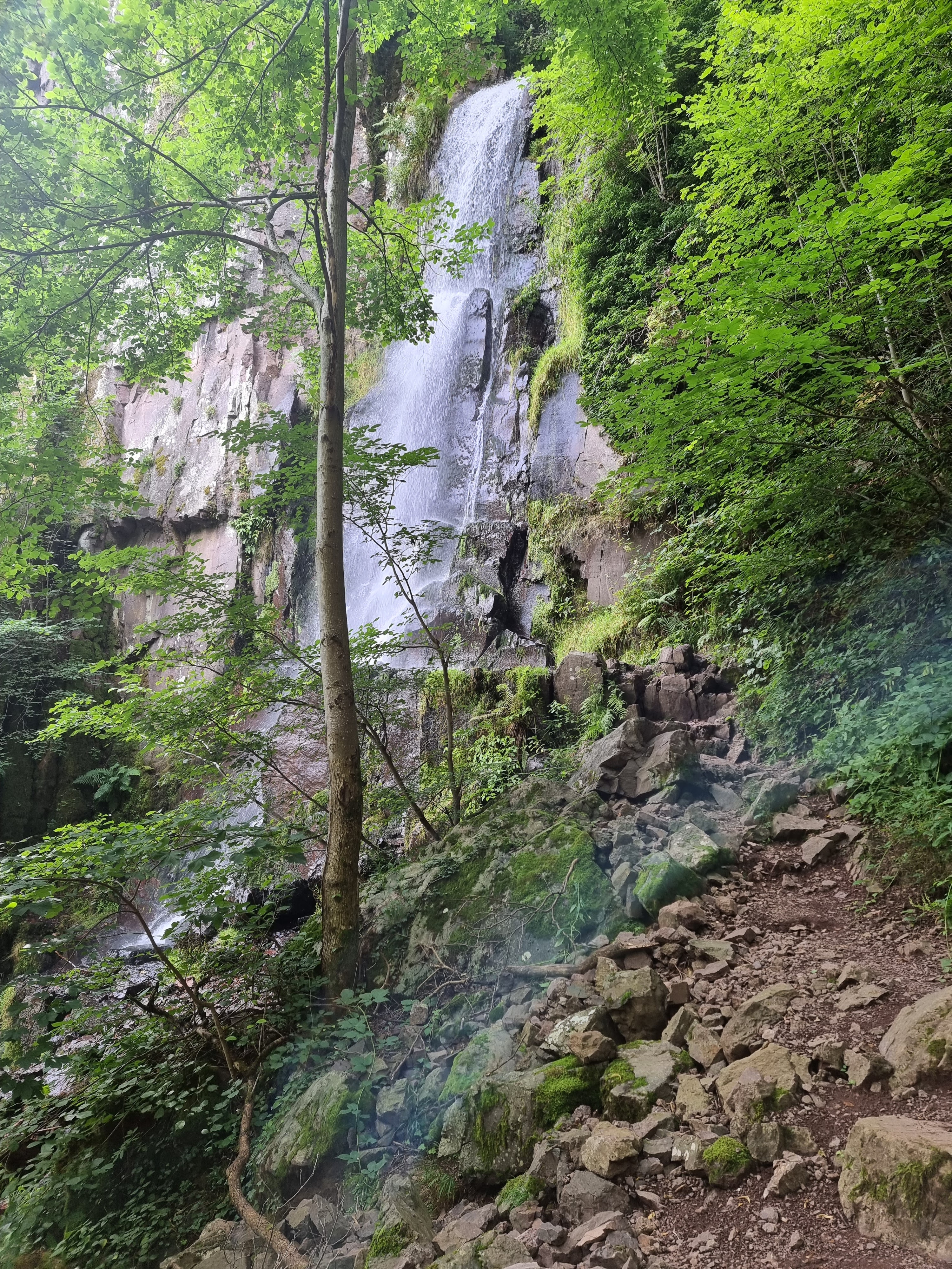 Photo n° 4 de l'avis de Yvann.r fait le 03/08/2021 à 09:57