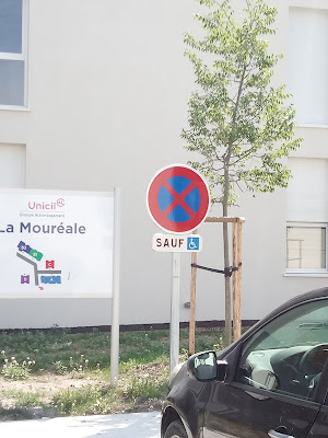 La mouréale à Caumont-sur-Durance