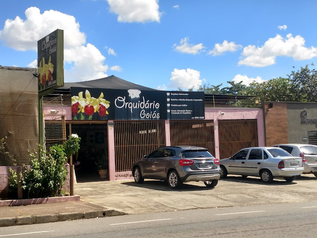 Orquidário Goiás Comércio de Orquídeas