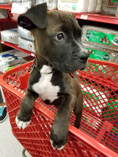 Pet Supply Store «Petco Animal Supplies», reviews and photos, 12551 Jefferson Ave #119, Newport News, VA 23602, USA