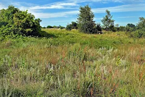 Holland Sand Prairie State Natural Area image