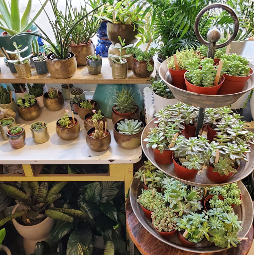 Florist «Providence Florist - Blooming Blossoms», reviews and photos, 780 Hope St, Providence, RI 02906, USA